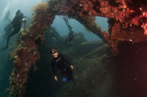 Picture of freediving the liberty wreck Bali