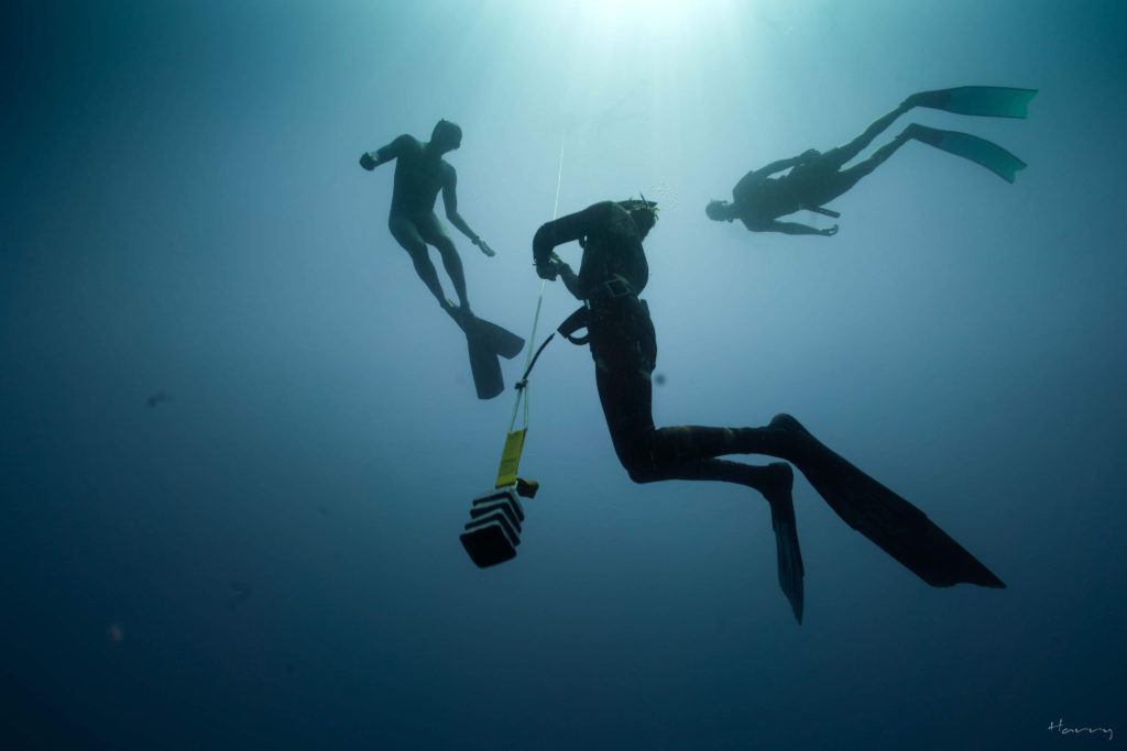 Bali Amed freediving