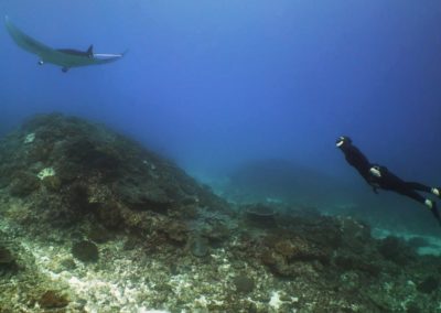 Freediver in front of manta ray