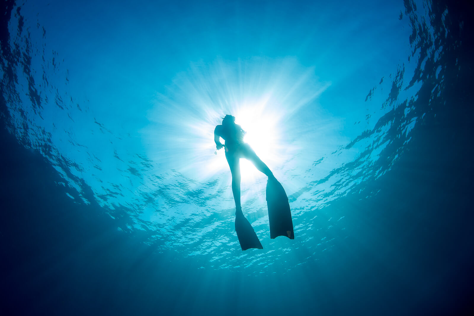 Picture of freediving in Bali