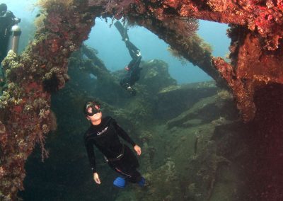 Picture of Freediving in Liberty Wreck