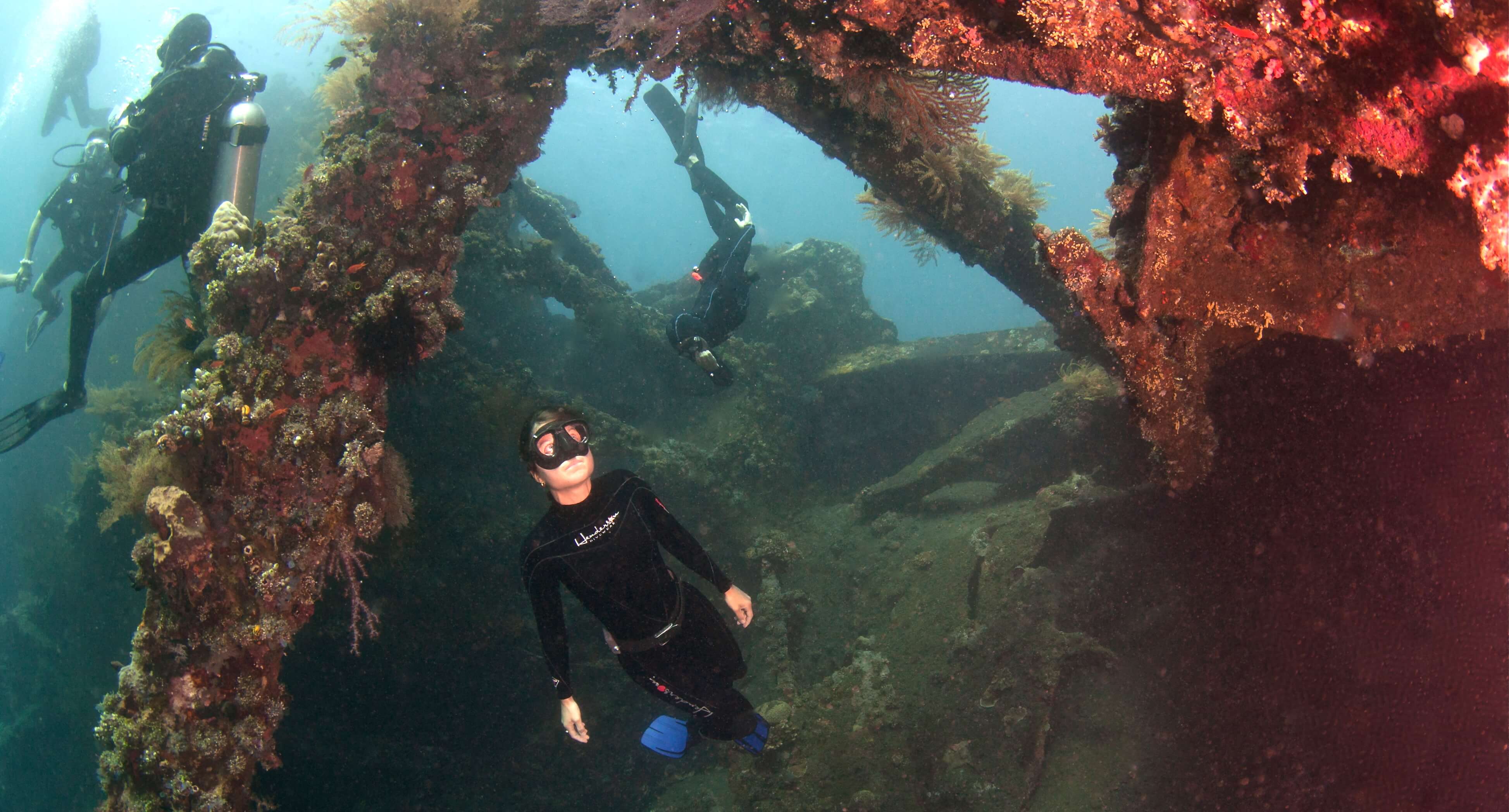 Picture of Freediving in Liberty Wreck