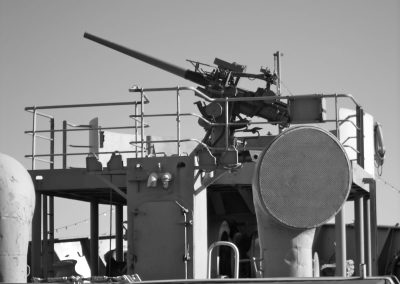 Picture of USAT Liberty Gun Platform
