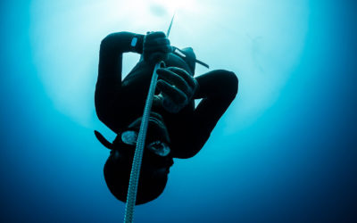 Freediving disciplines and current freediving records