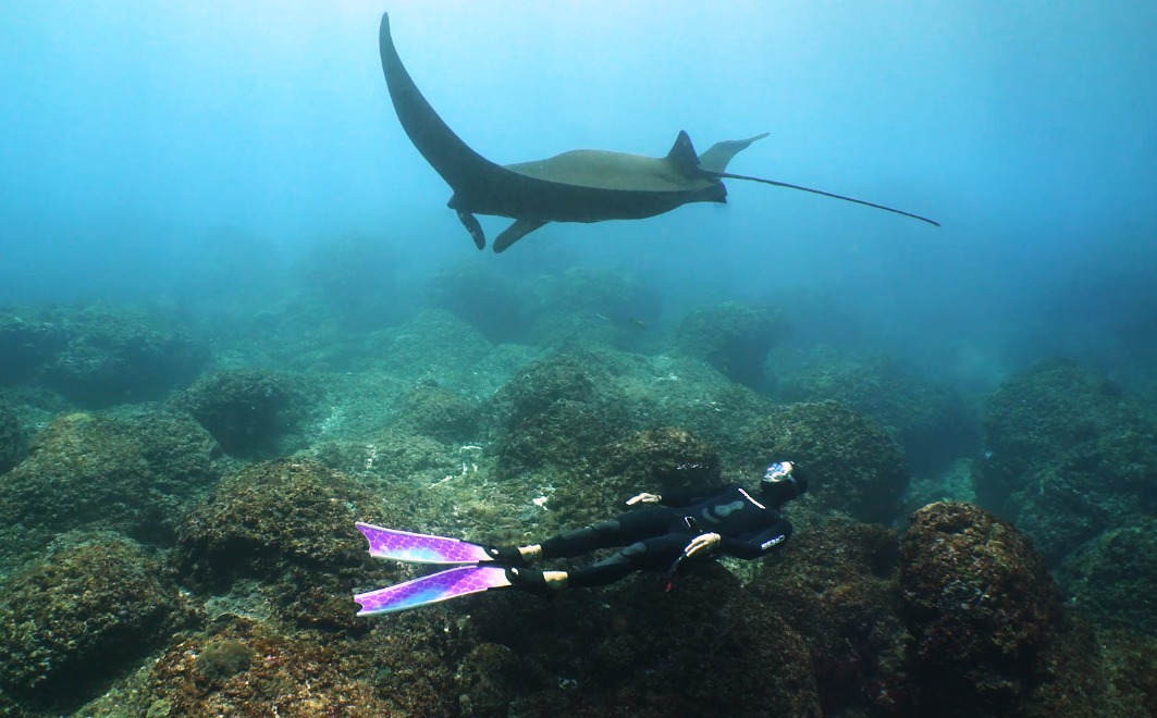Freediver Diving with manta in bali